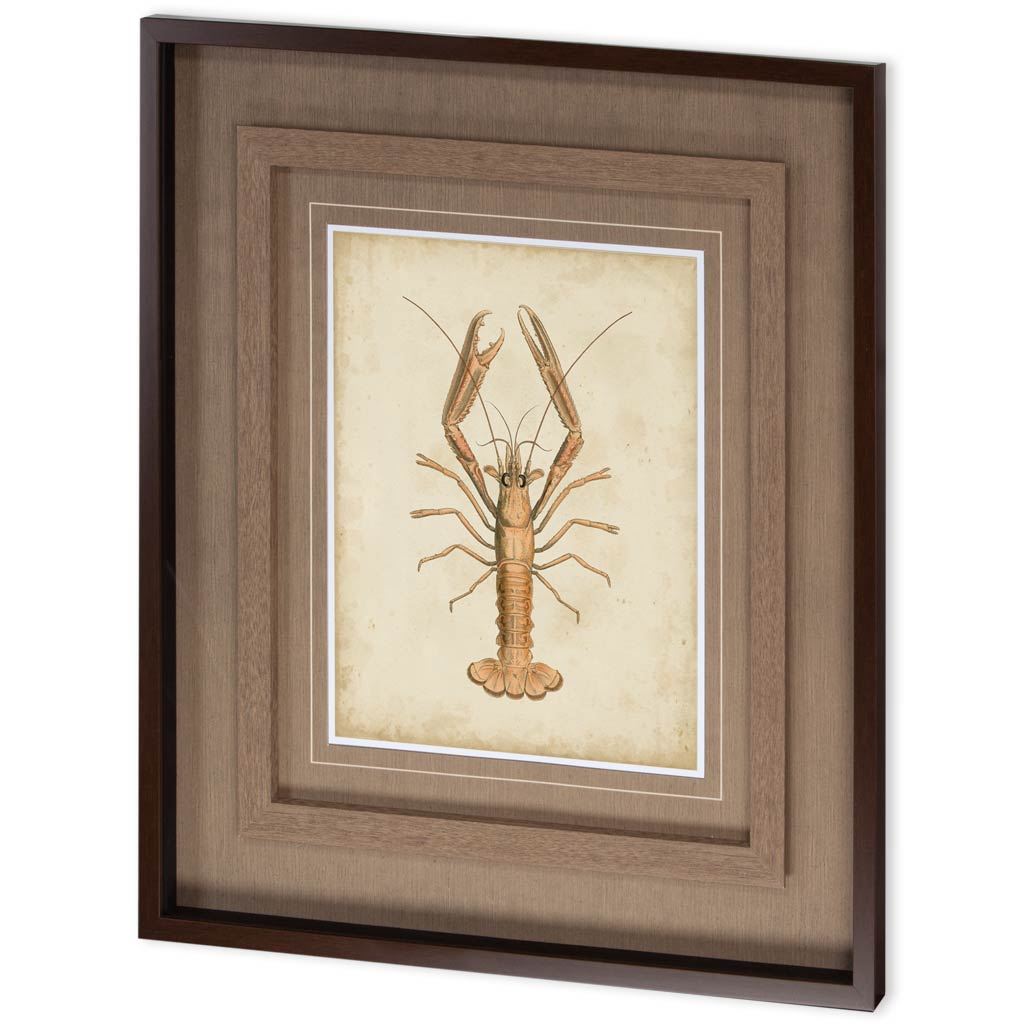 Crustaceans I (41 x 26)