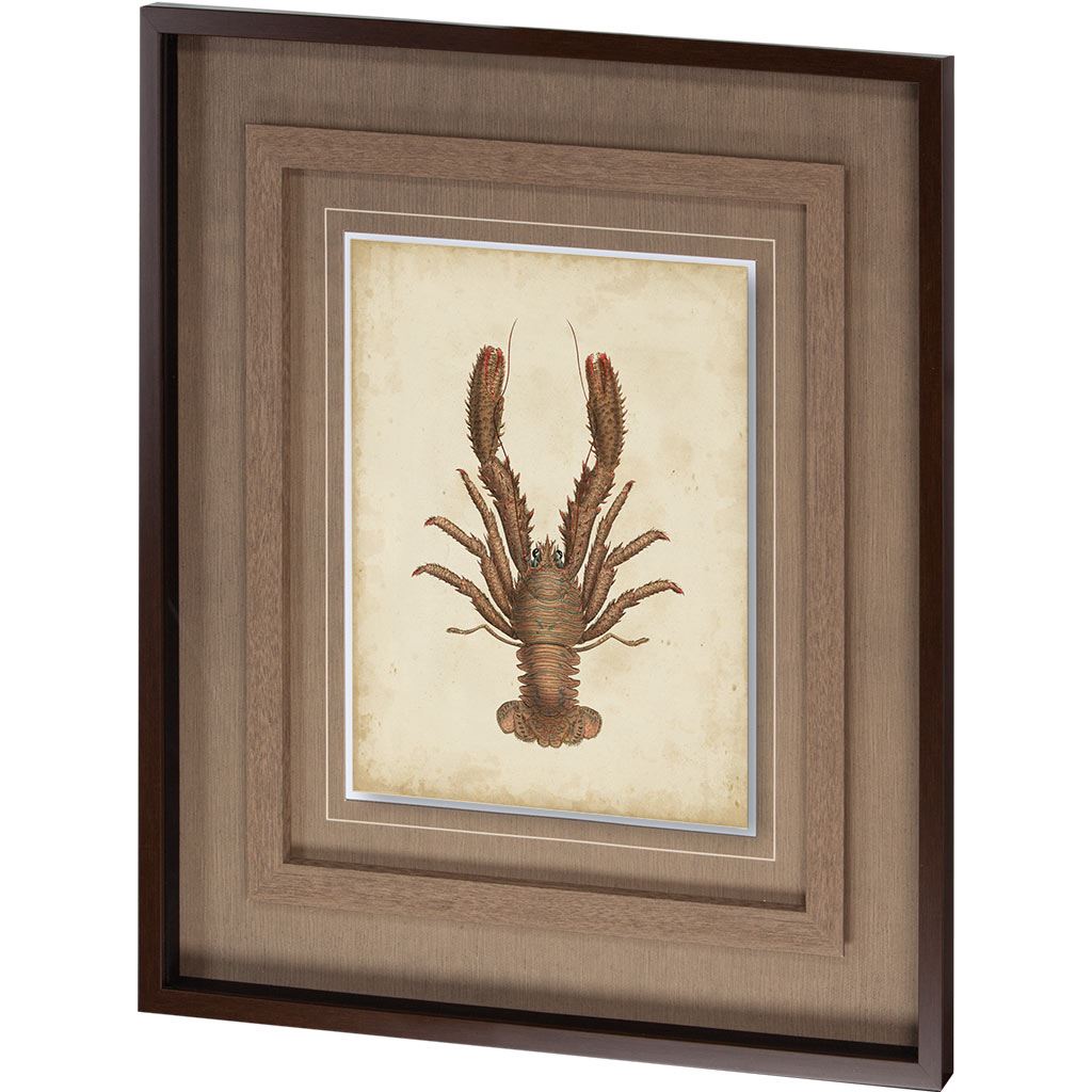 Crustaceans III (41 x 26)