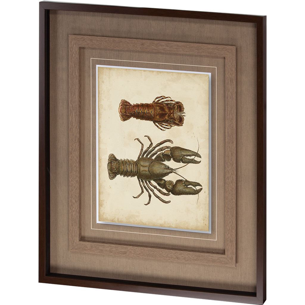 Crustaceans VI (41 x 26)