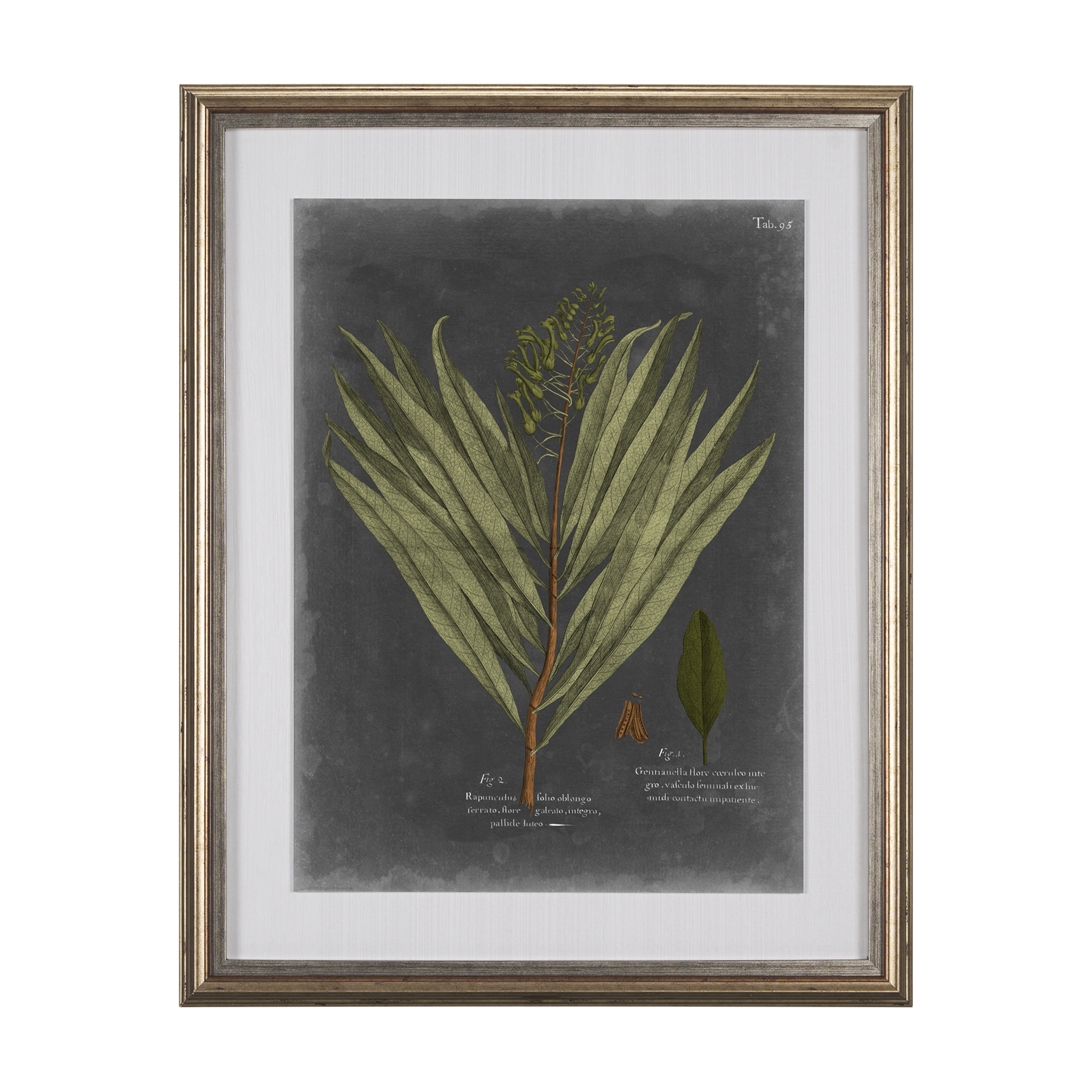 Foliage Dramatique II (27 x 33)