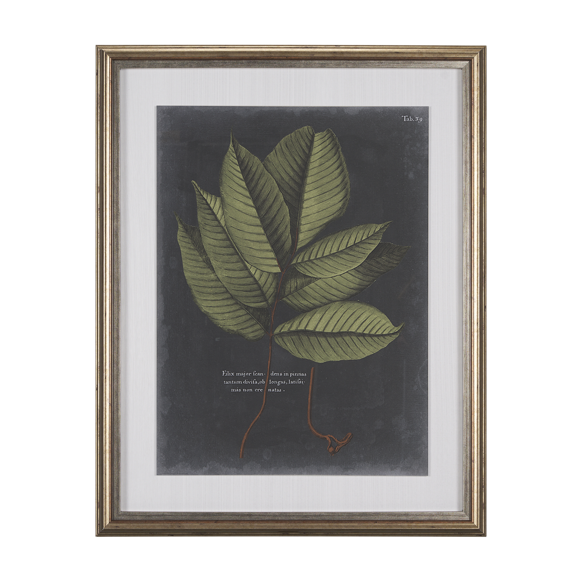 Foliage Dramatique III (27 x 33)