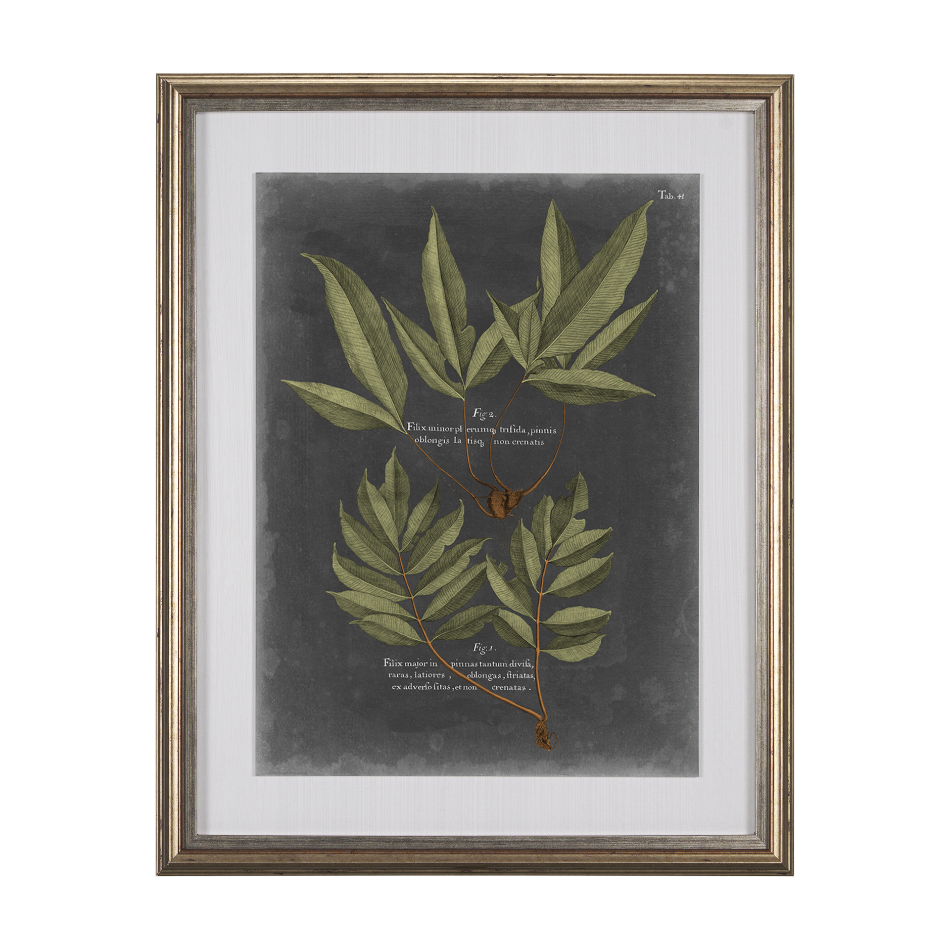 Foliage Dramatique IV (27 x 33)