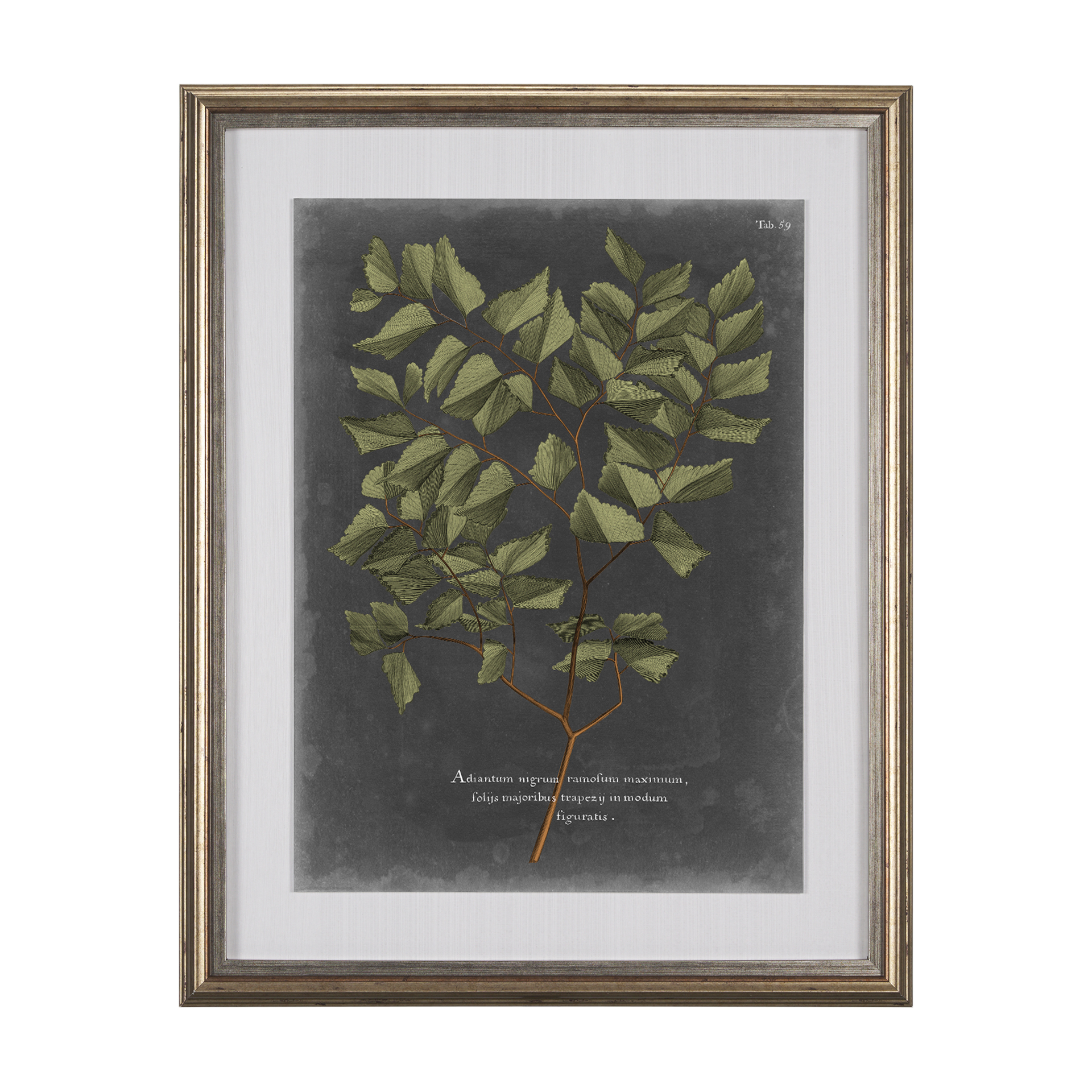 Foliage Dramatique V (27 x 33)