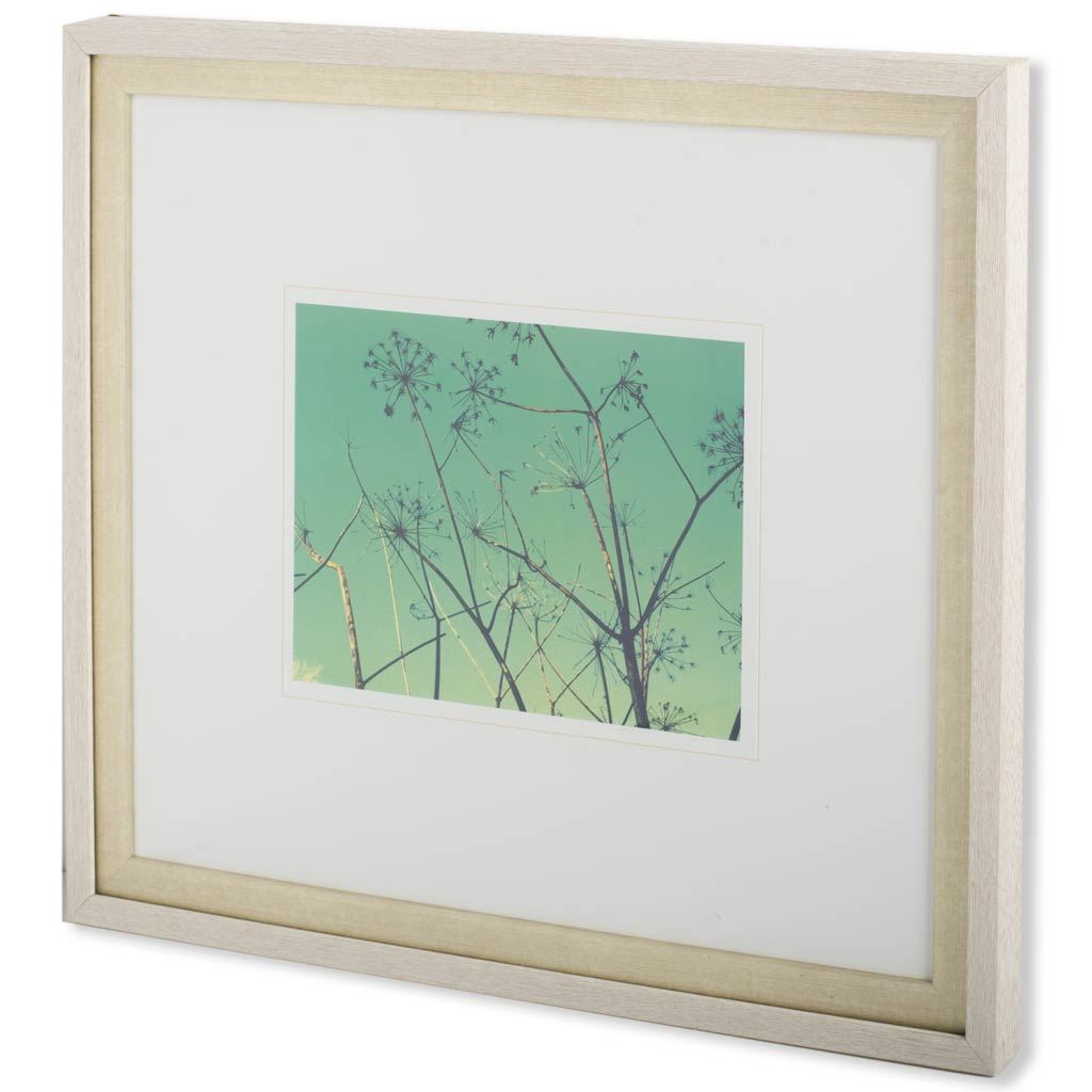 Cow Parsley I (29 x 33)