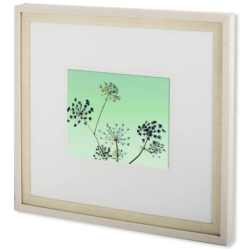 Cow Parsley II (29 x 33)