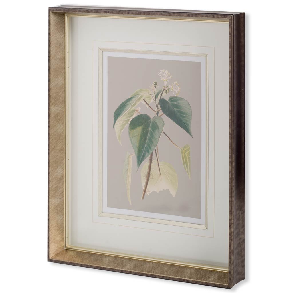 Custom Botanical Cabinet II (MC) (23 x 28)