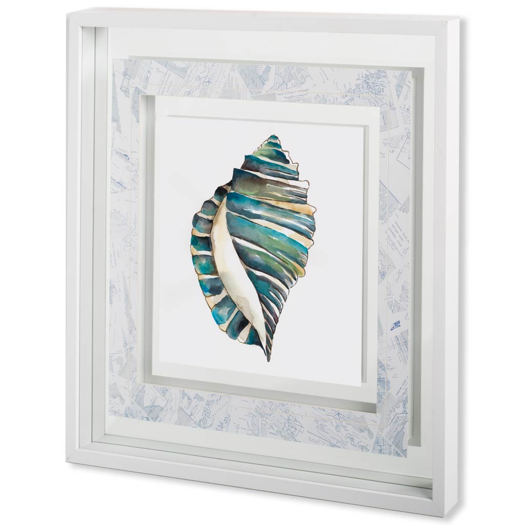 Aquarelle Shells I (31 x 31)