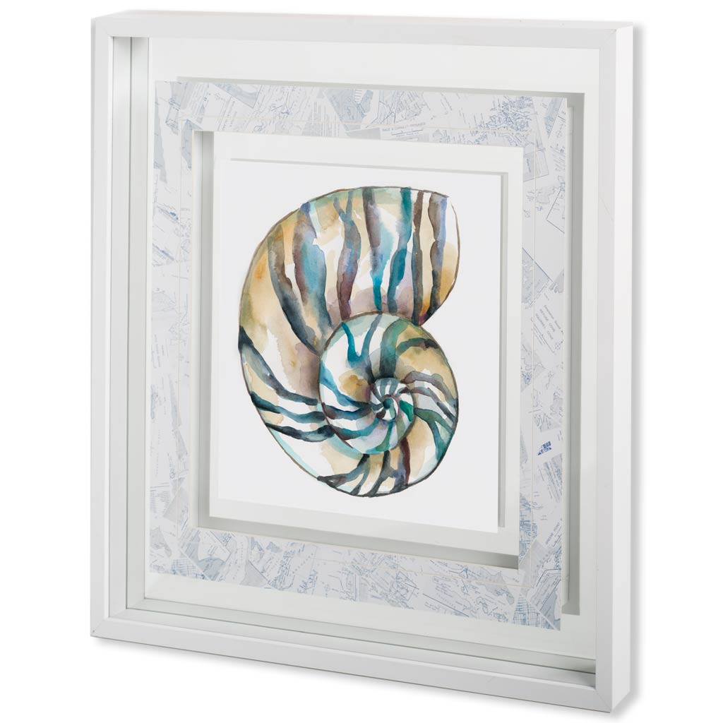 Aquarelle Shells II (31 x 31)