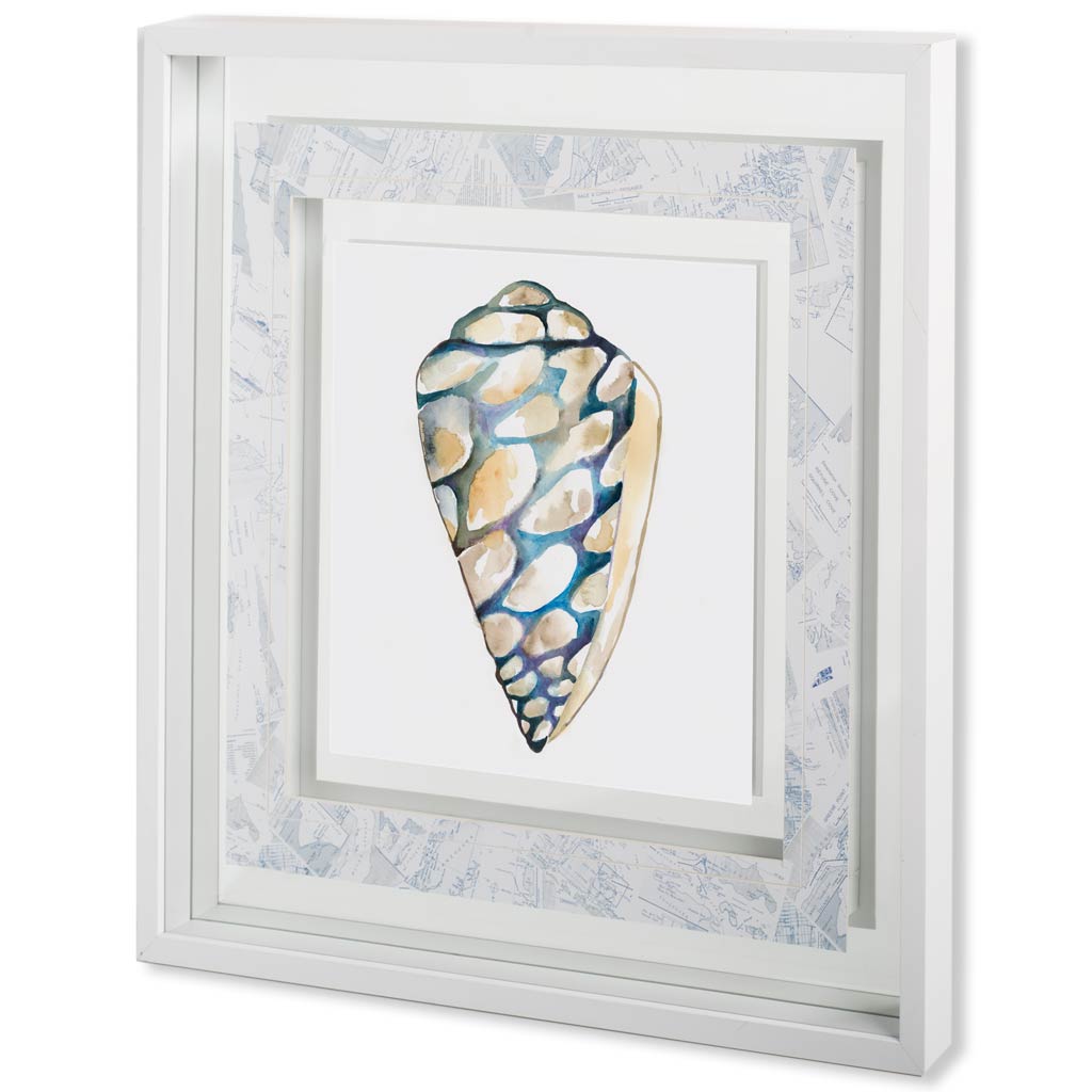 Aquarelle Shells III (31 x 31)