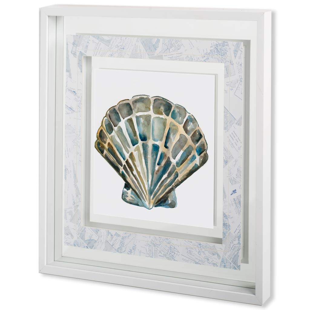 Aquarelle Shells IV (31 x 31)