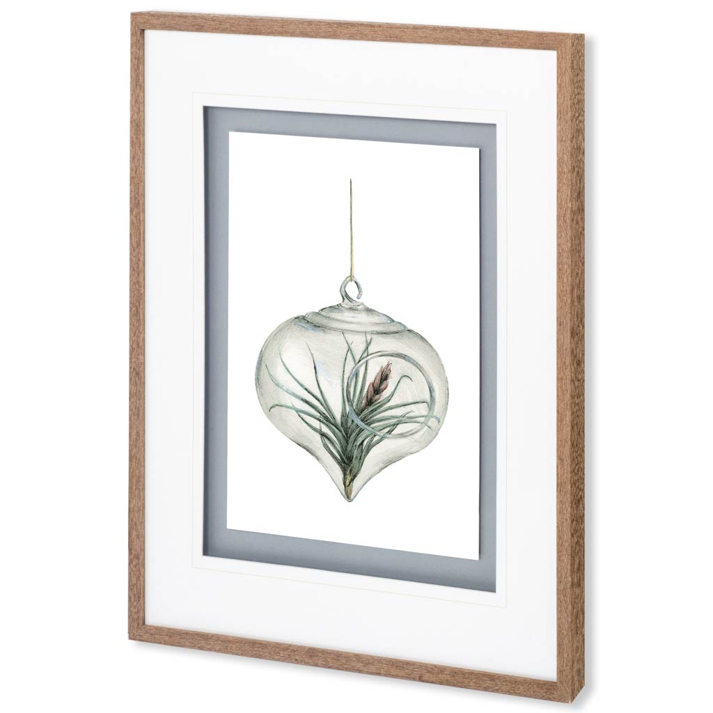 Air Plant 4 (31 x 35)