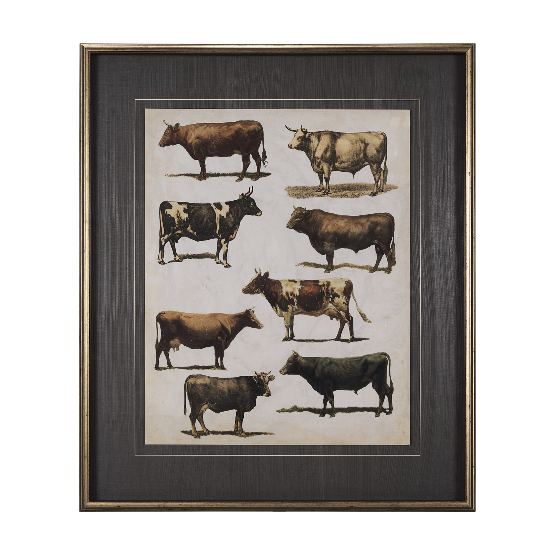 Antique Cow Chart (42 x 36)