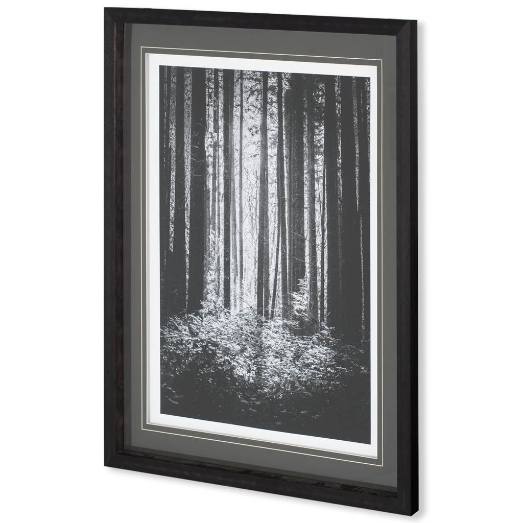 Lowland Winter Forest No 13, Tiger Mountain (43 x 53)