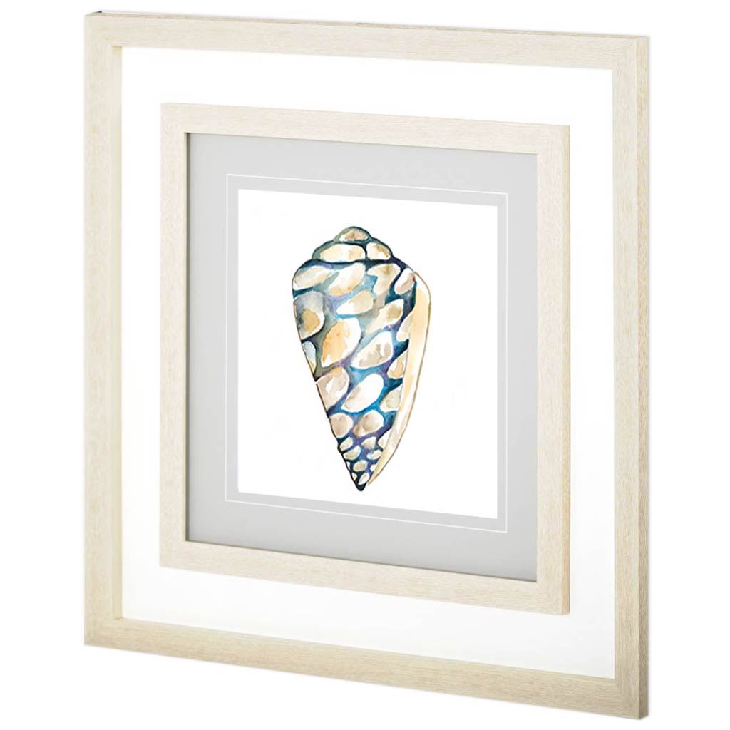 Aquarelle Shells III (34 x 34)