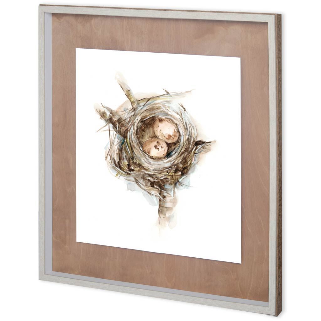 Custom Bird Nest Study I (MC) (31 x 31)