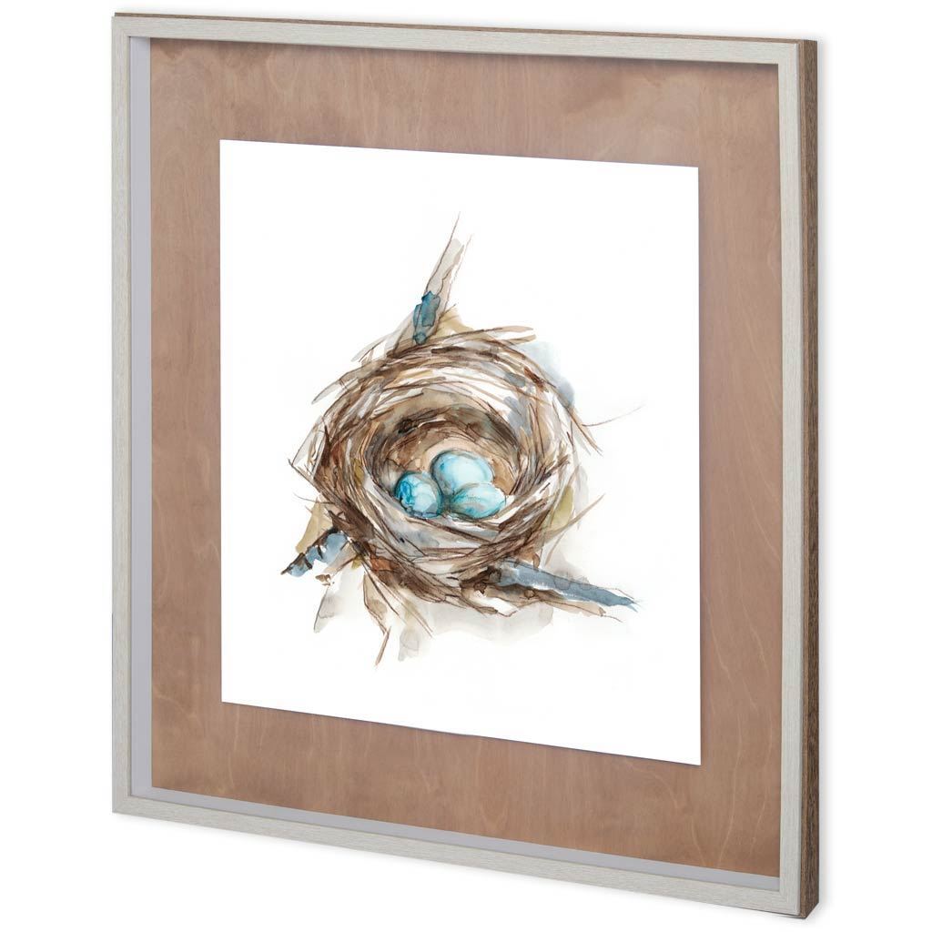 Custom Bird Nest Study II (MC) (31 x 31)