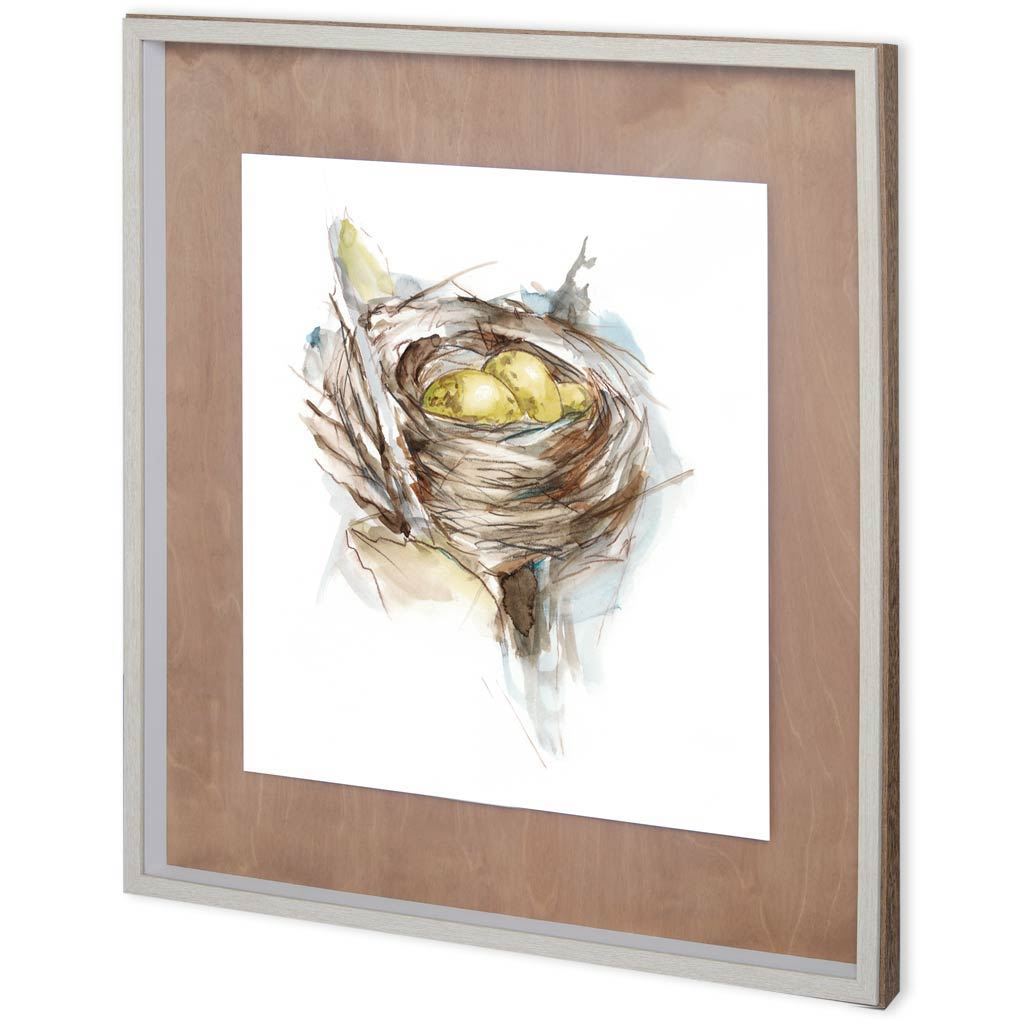 Custom Bird Nest Study III (MC) (31 x 31)