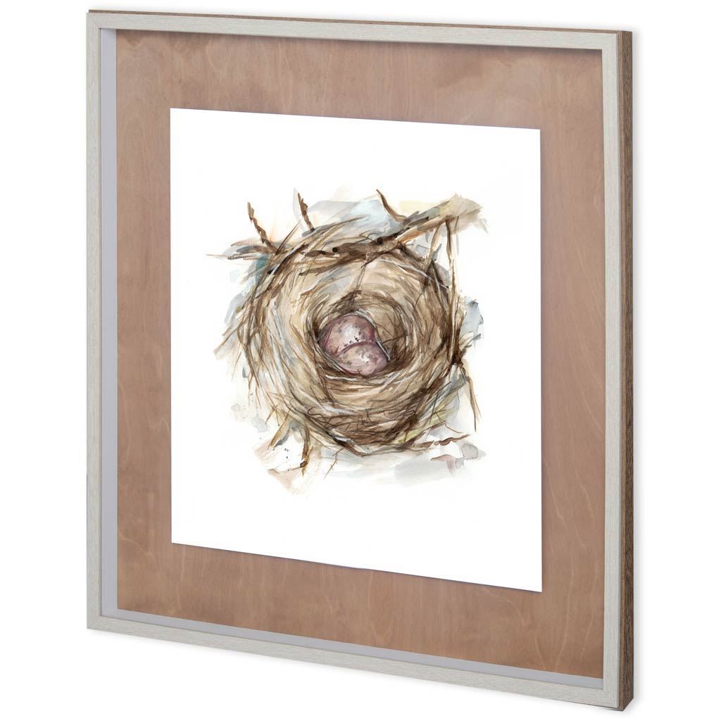 Custom Bird Nest Study IV (MC) (31 x 31)