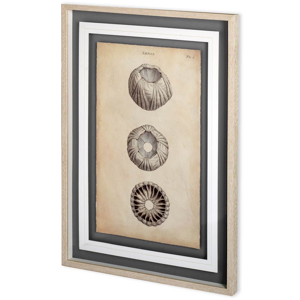 Cylindrical Shells I (29 x 41)