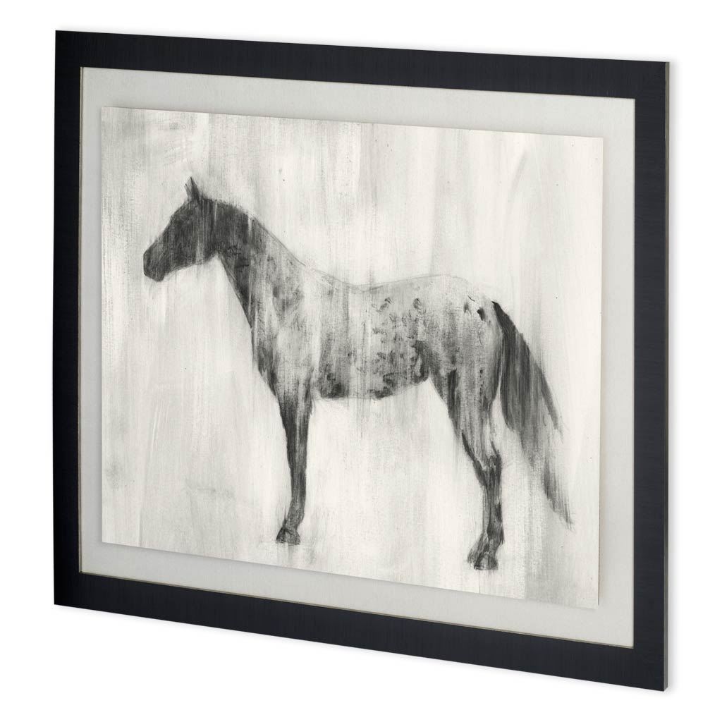 Custom Appaloosa Study II (MC) (61 x 46)