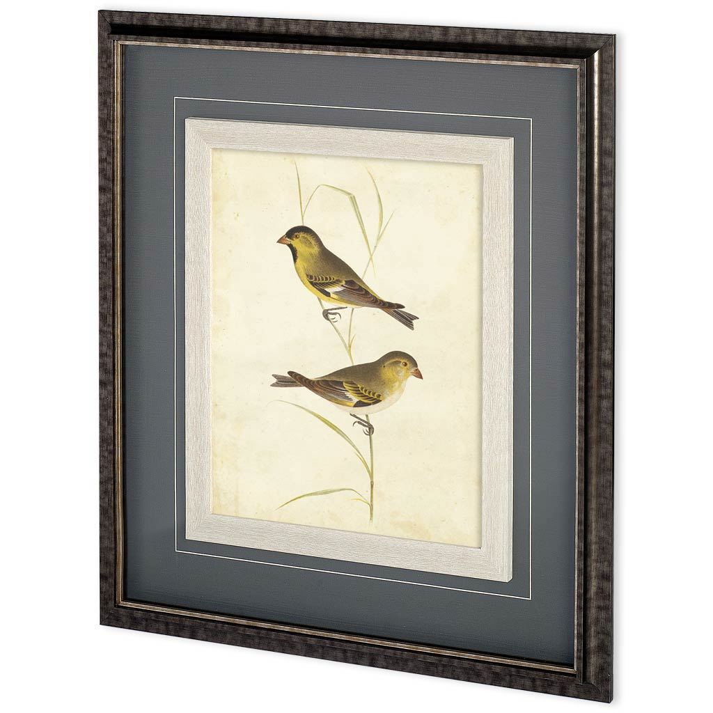 Goldfinch (29 x 33)