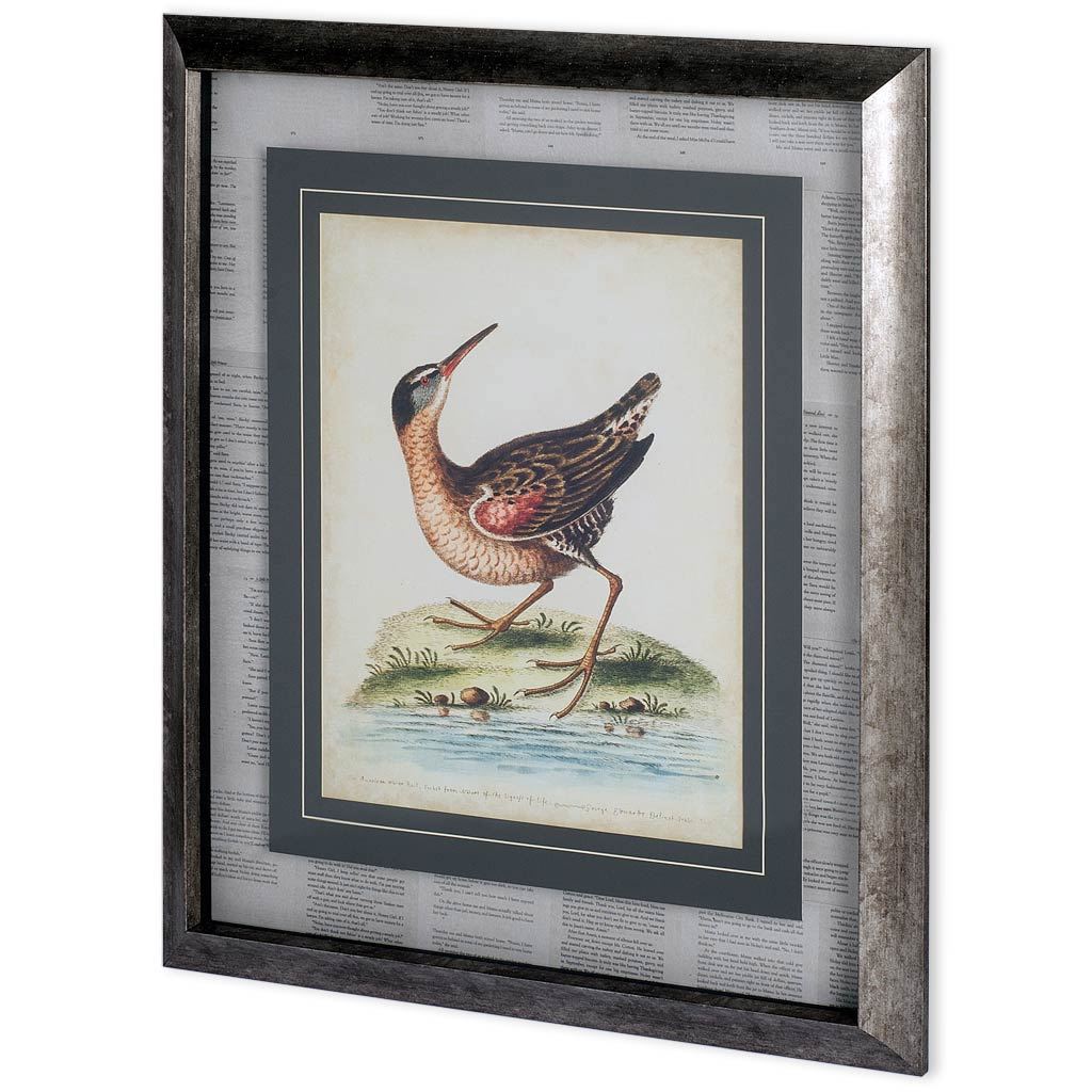 Antique Bird Menagerie IV (28 x 32)