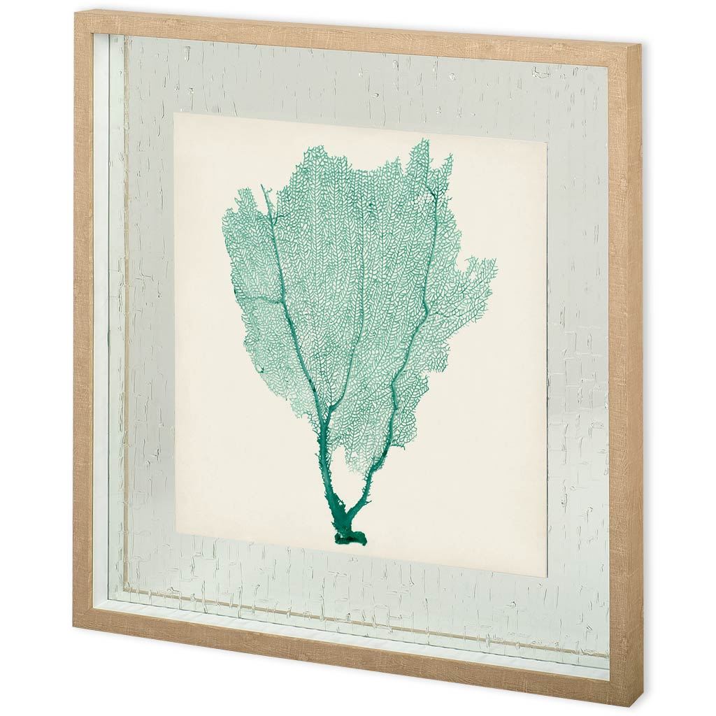 Custom Sea Fan I (30 x 30)