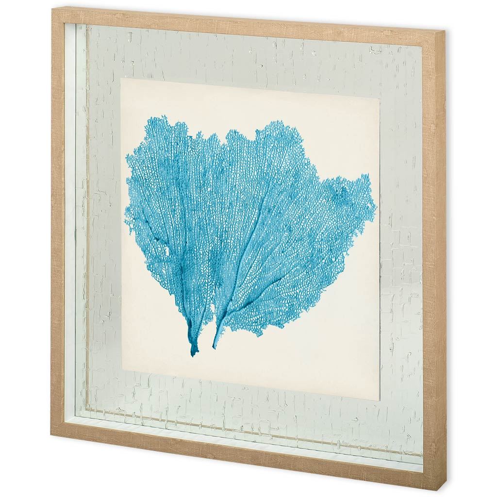 Custom Sea Fan IV (30 x 30)