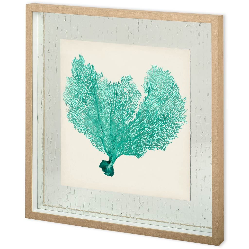 Custom Sea Fan VI (30 x 30)