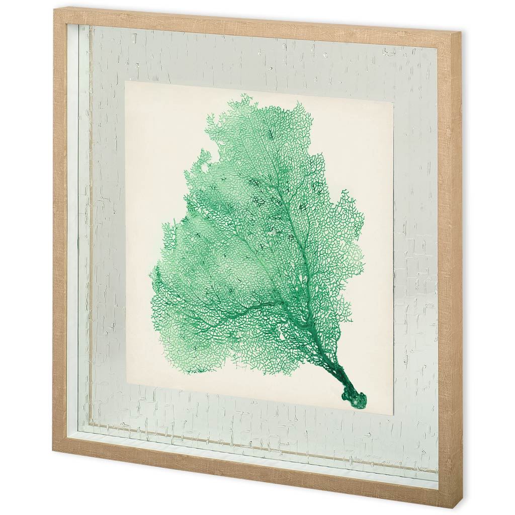 Custom Sea Fan VII (30 x 30)