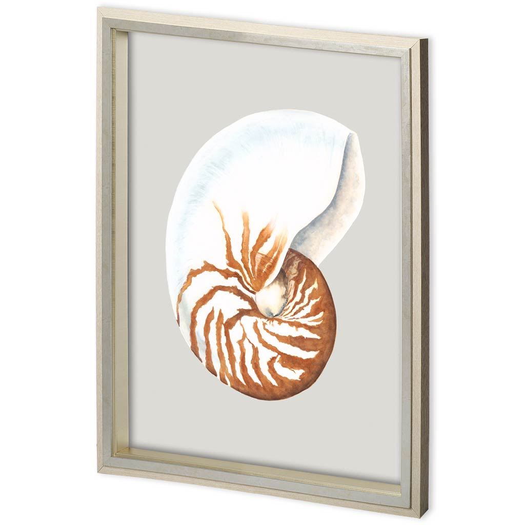 Custom Nautilus (35 x 45)