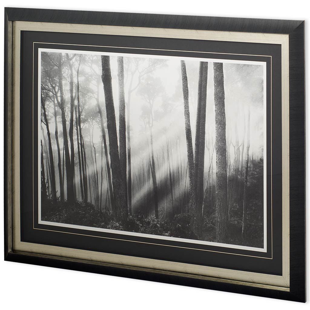 Mystical Forest & Sunbeams (48 x 36)