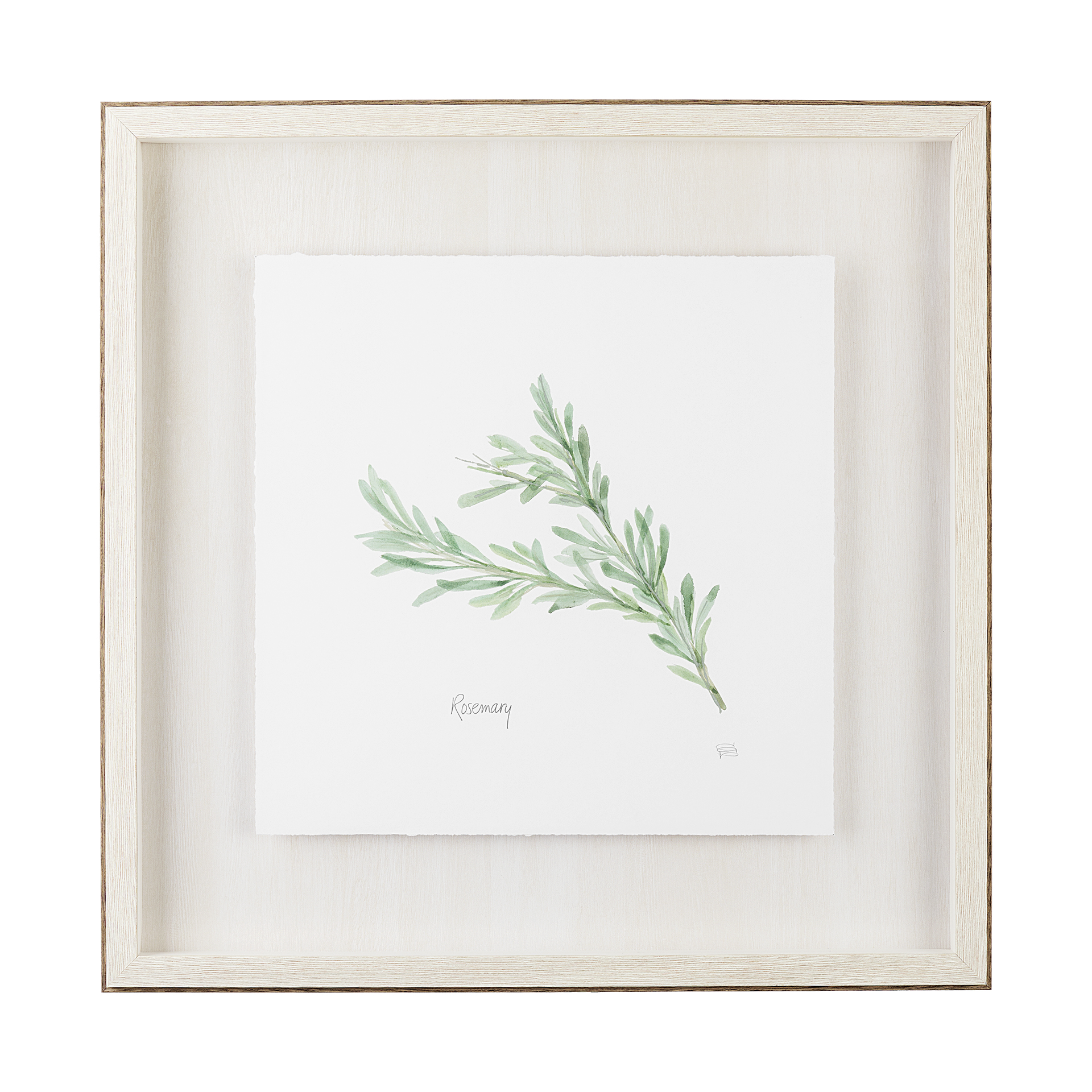 Rosemary v2 (23 x 23)