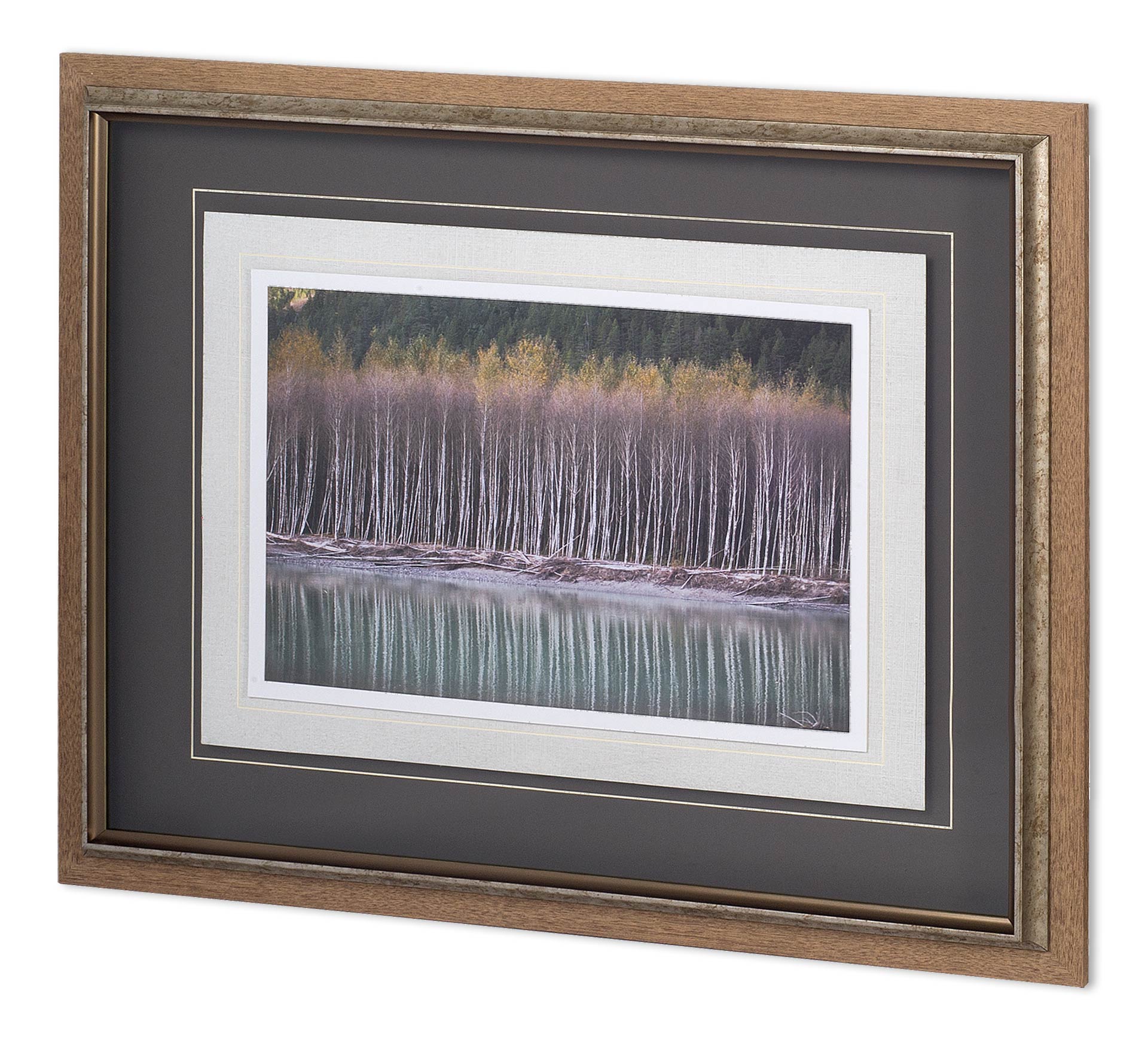 Lake Side Birch I MAT-0838 (39 x 31)