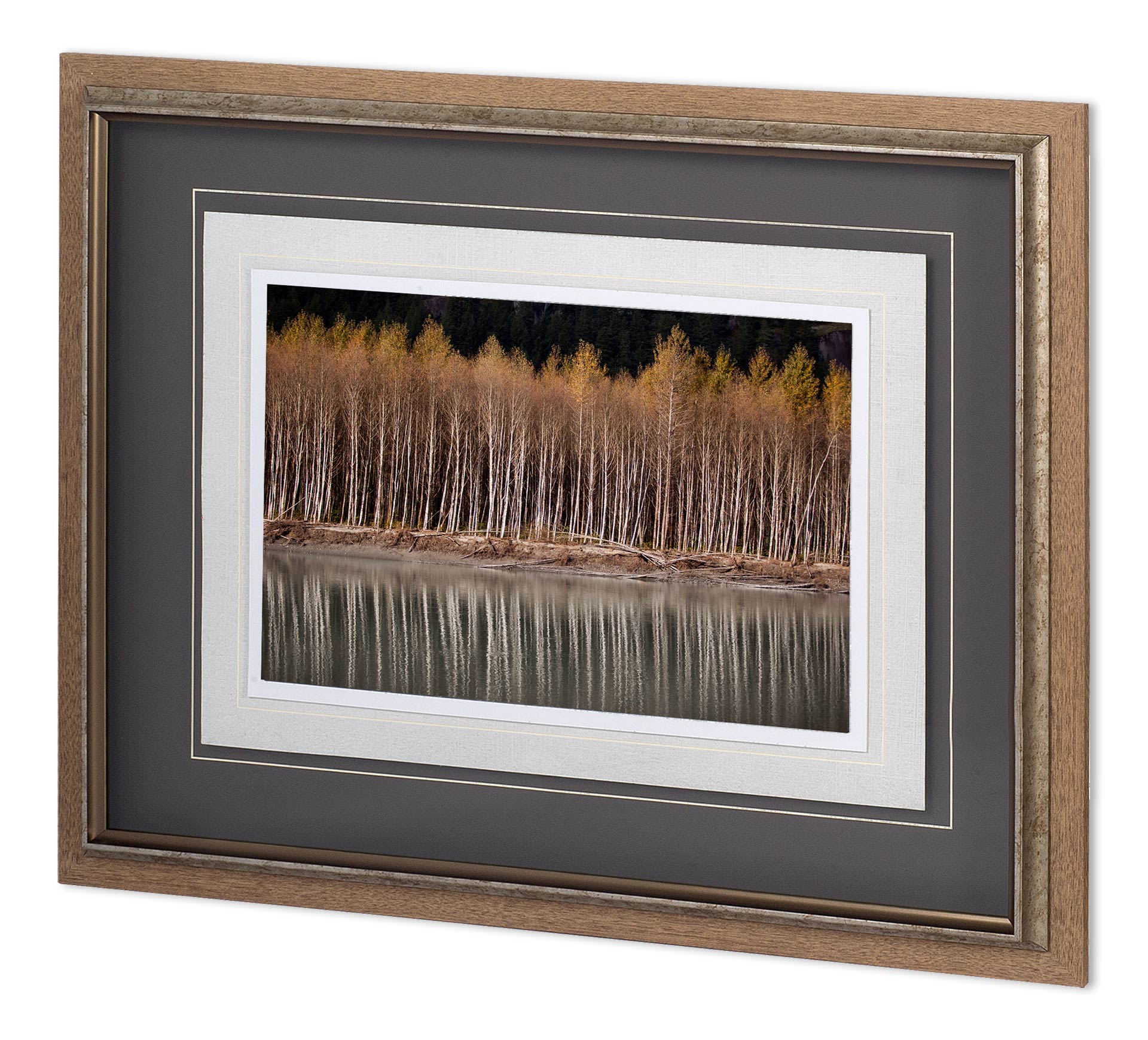 Lake Side Birch II MAT-0840 (39 x 31)