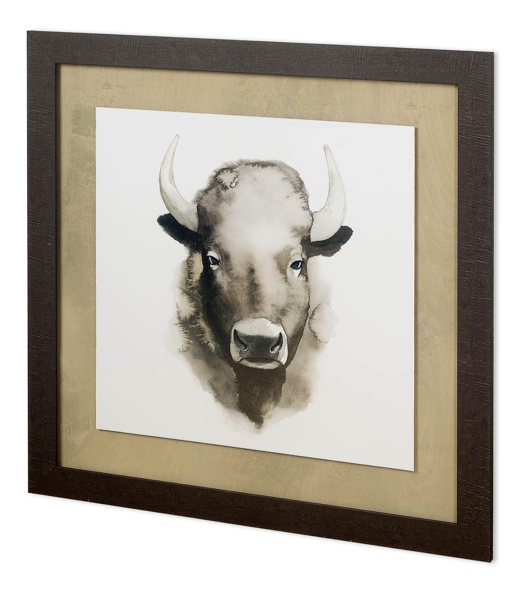 Custom Watercolor Buffalo (40 x 40)