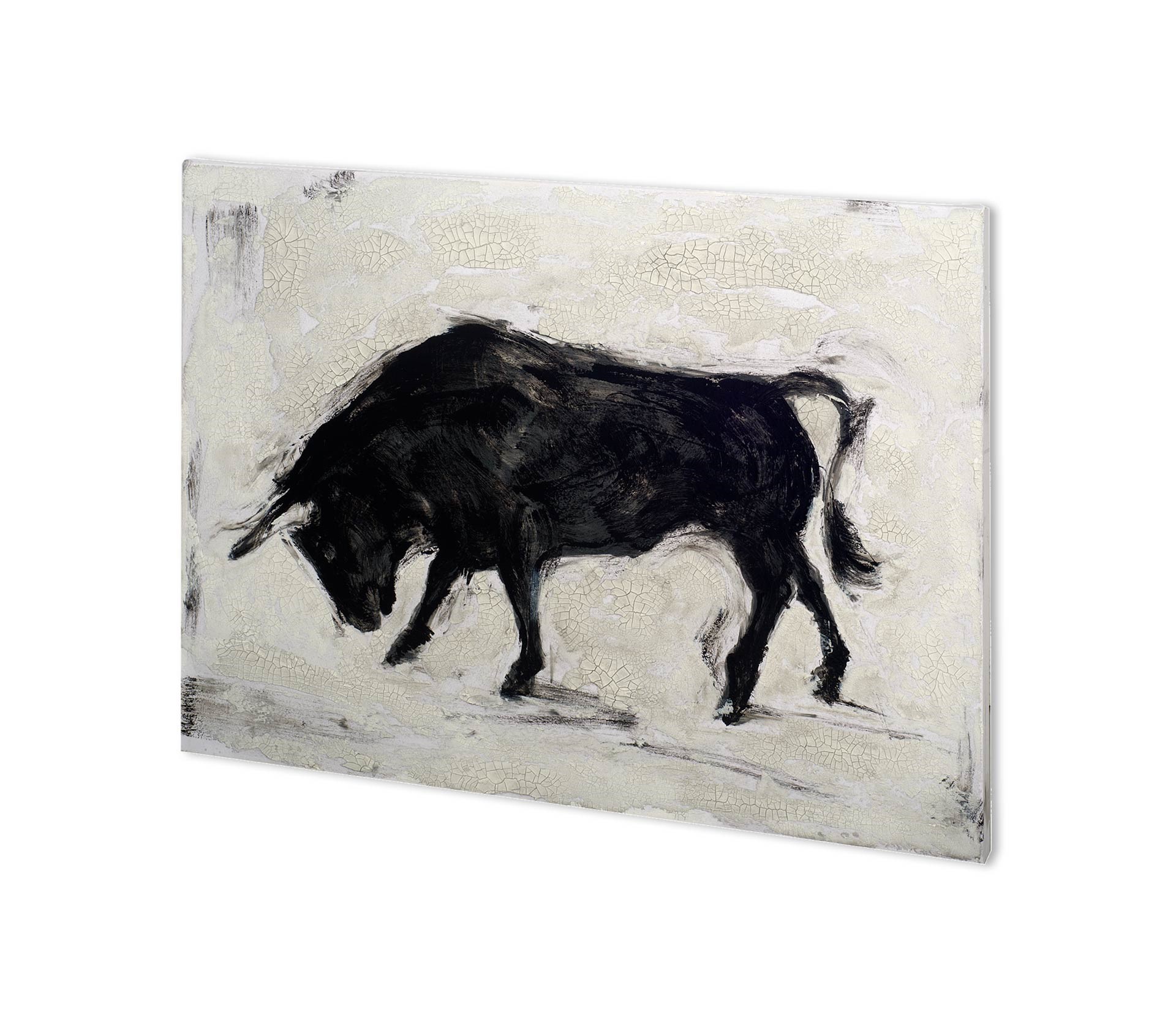 Toro I (38 x 29)