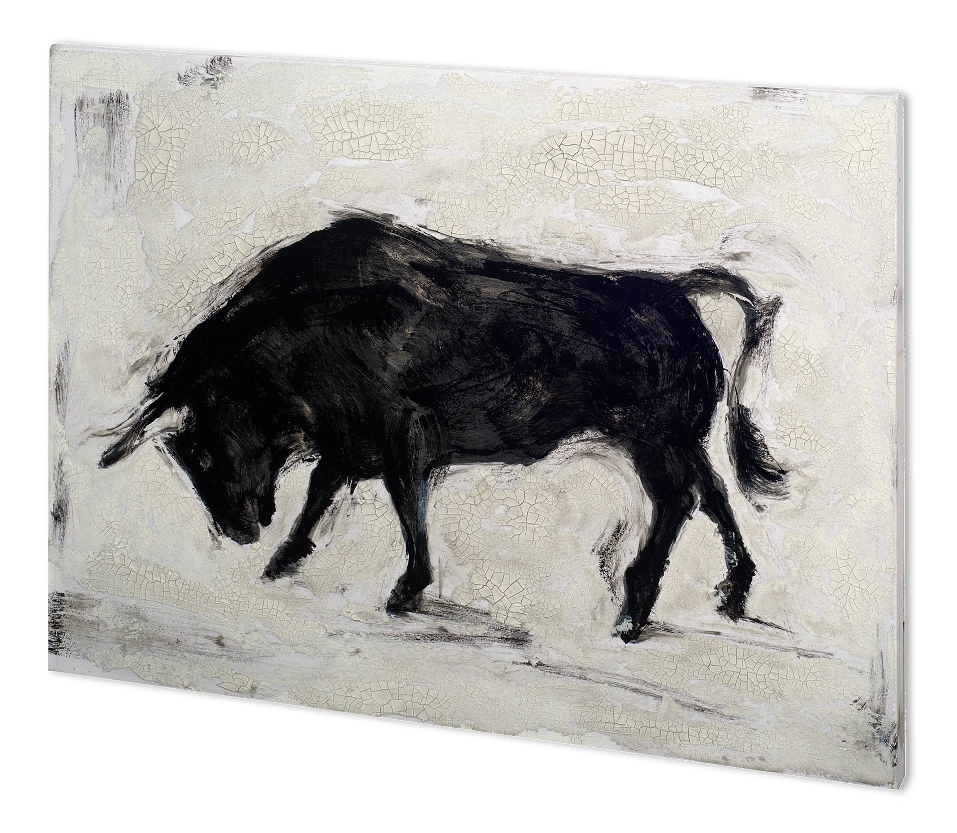 Toro I (49 x 38)