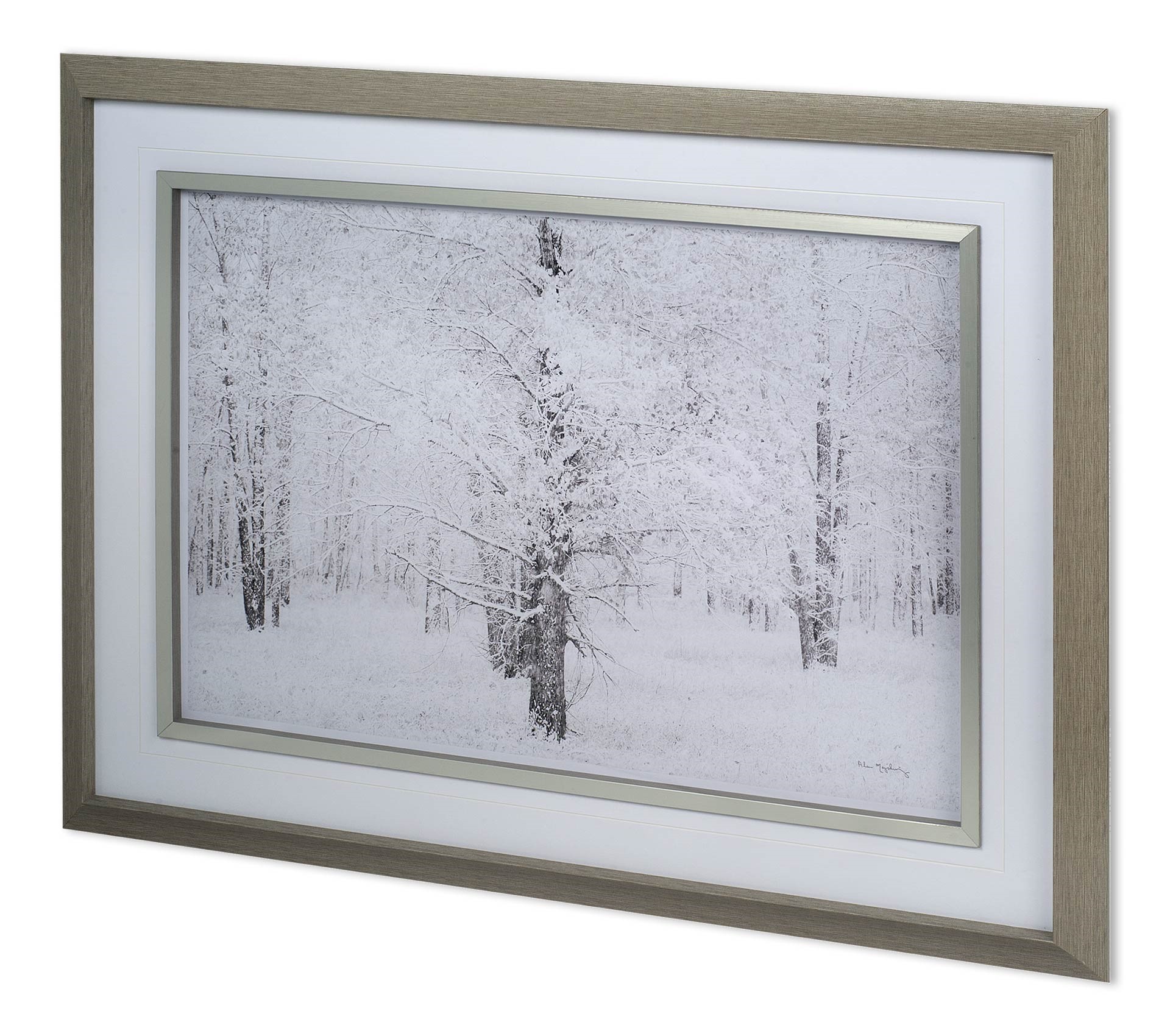 Snow Covered Cottonwood Trees (43 x 33)