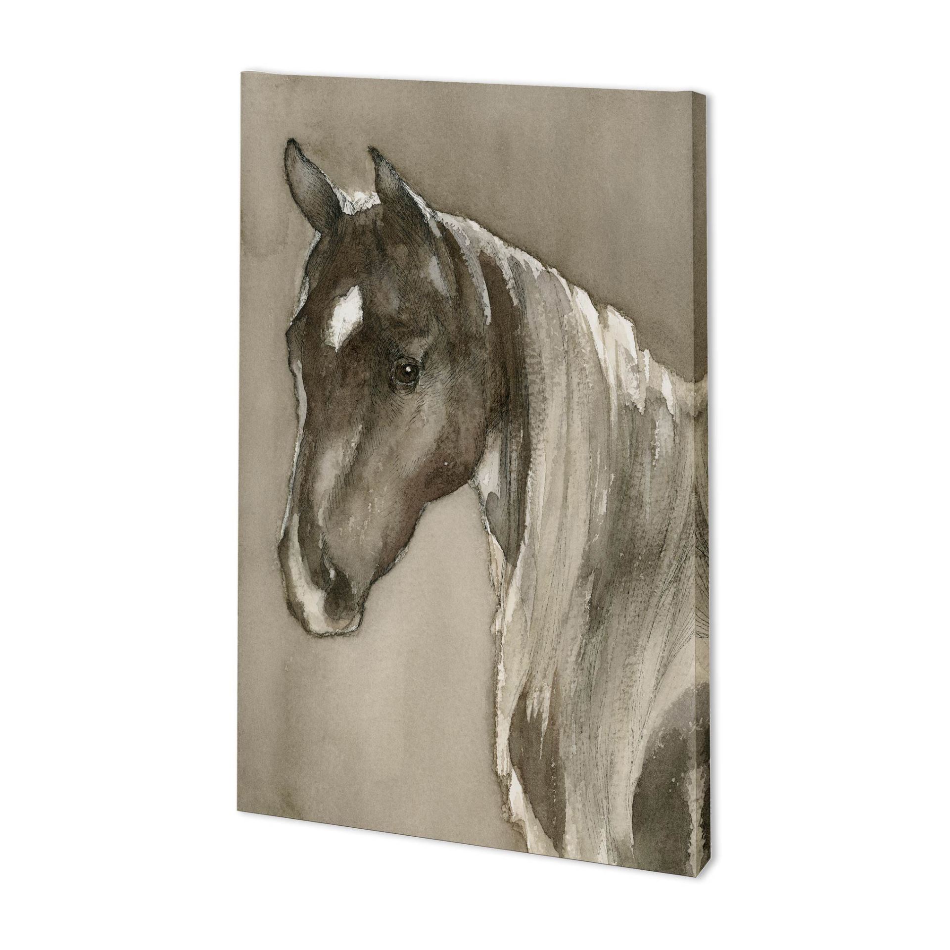 Horse Portrait II (35 x 54)