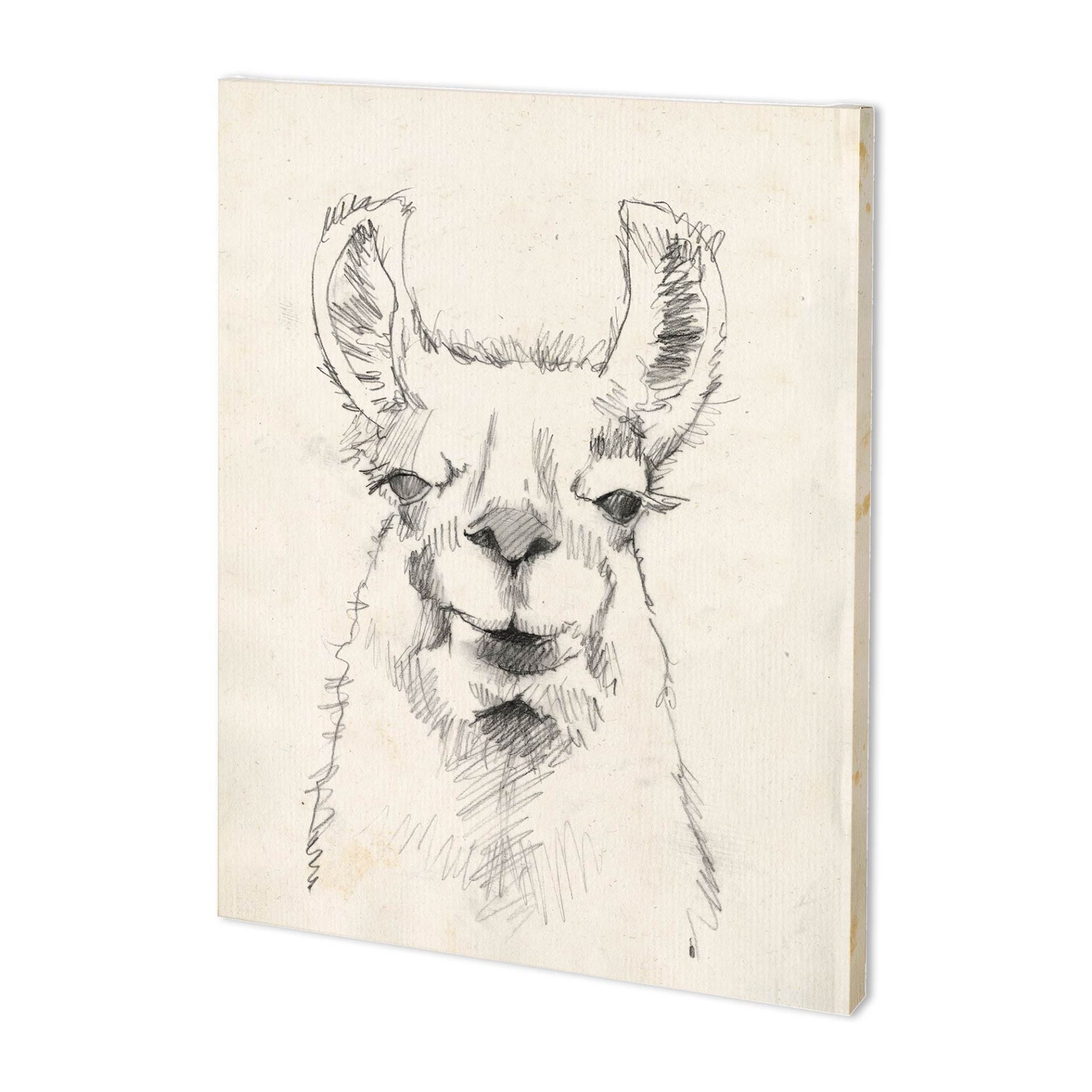 Llama Portrait II (38 x 48)