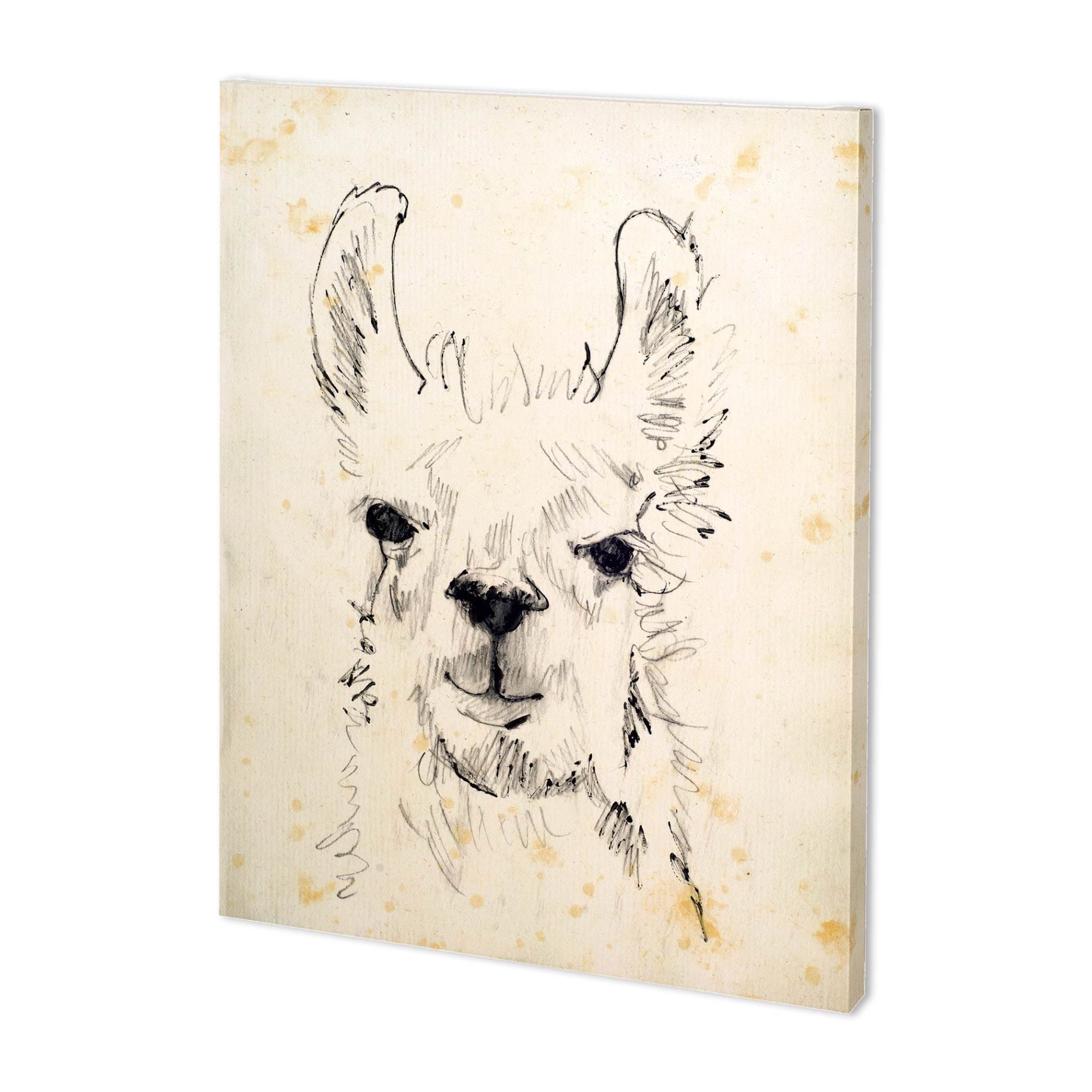 Llama Portrait I (38 x 48)