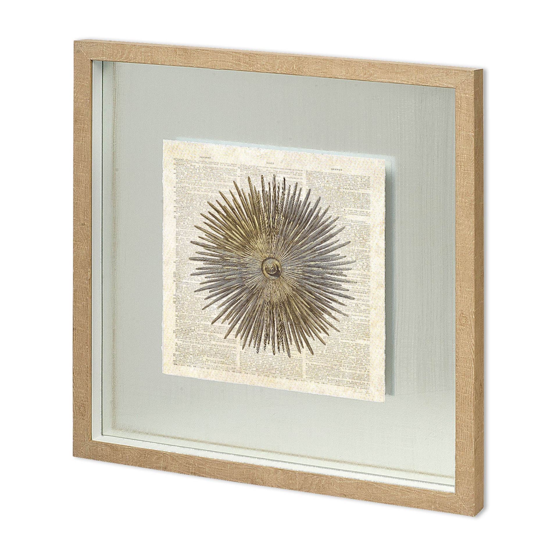 Sea Urchin Pages (21 x 22)