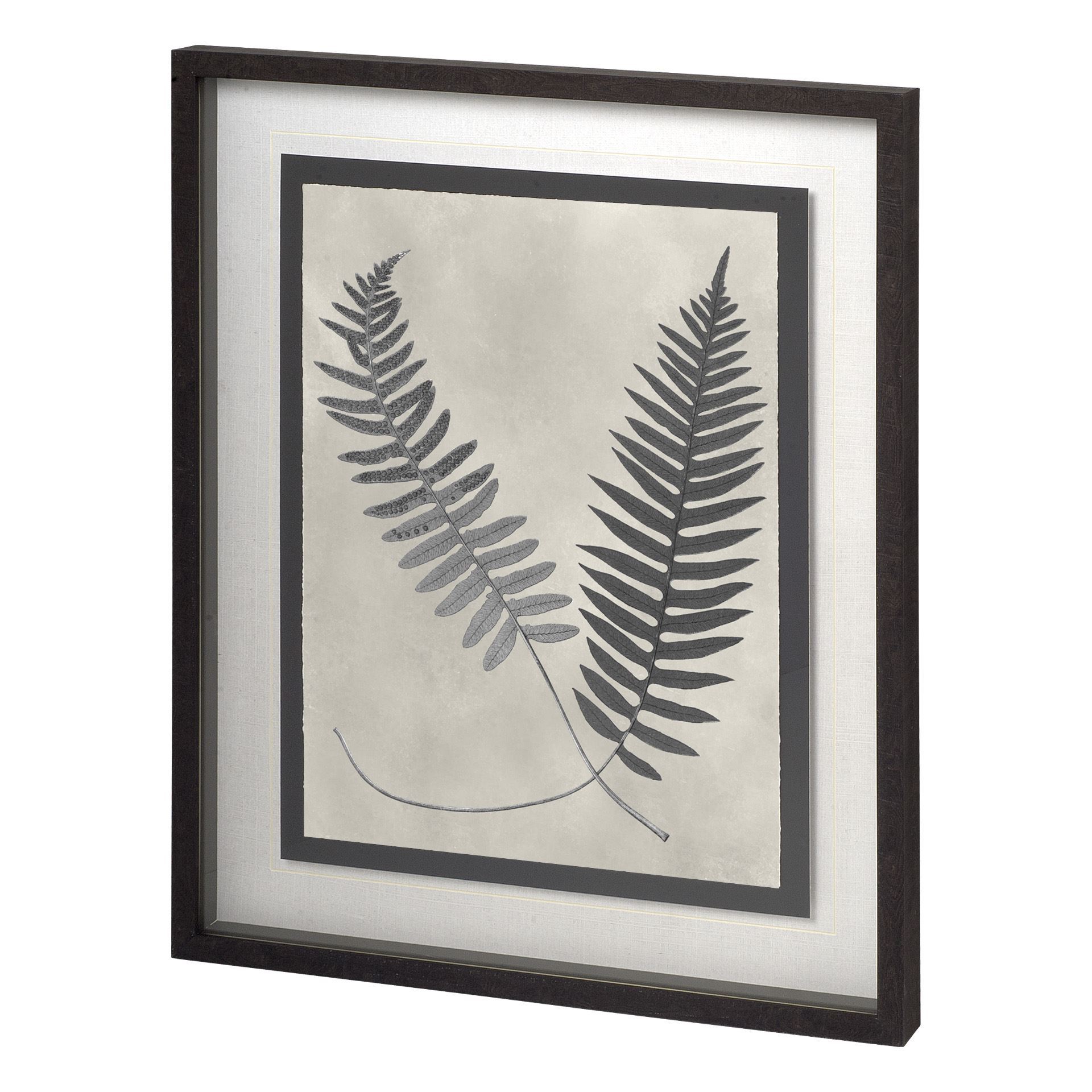 Vintage Fern Study III (27 x 33)