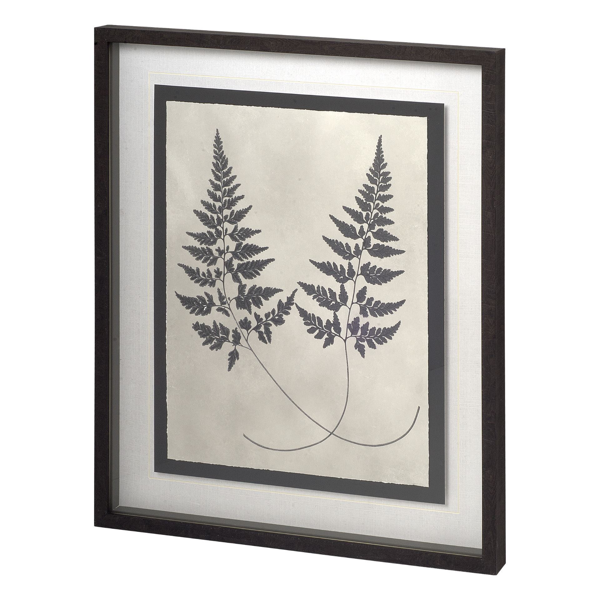 Vintage Fern Study I (27 x 33)