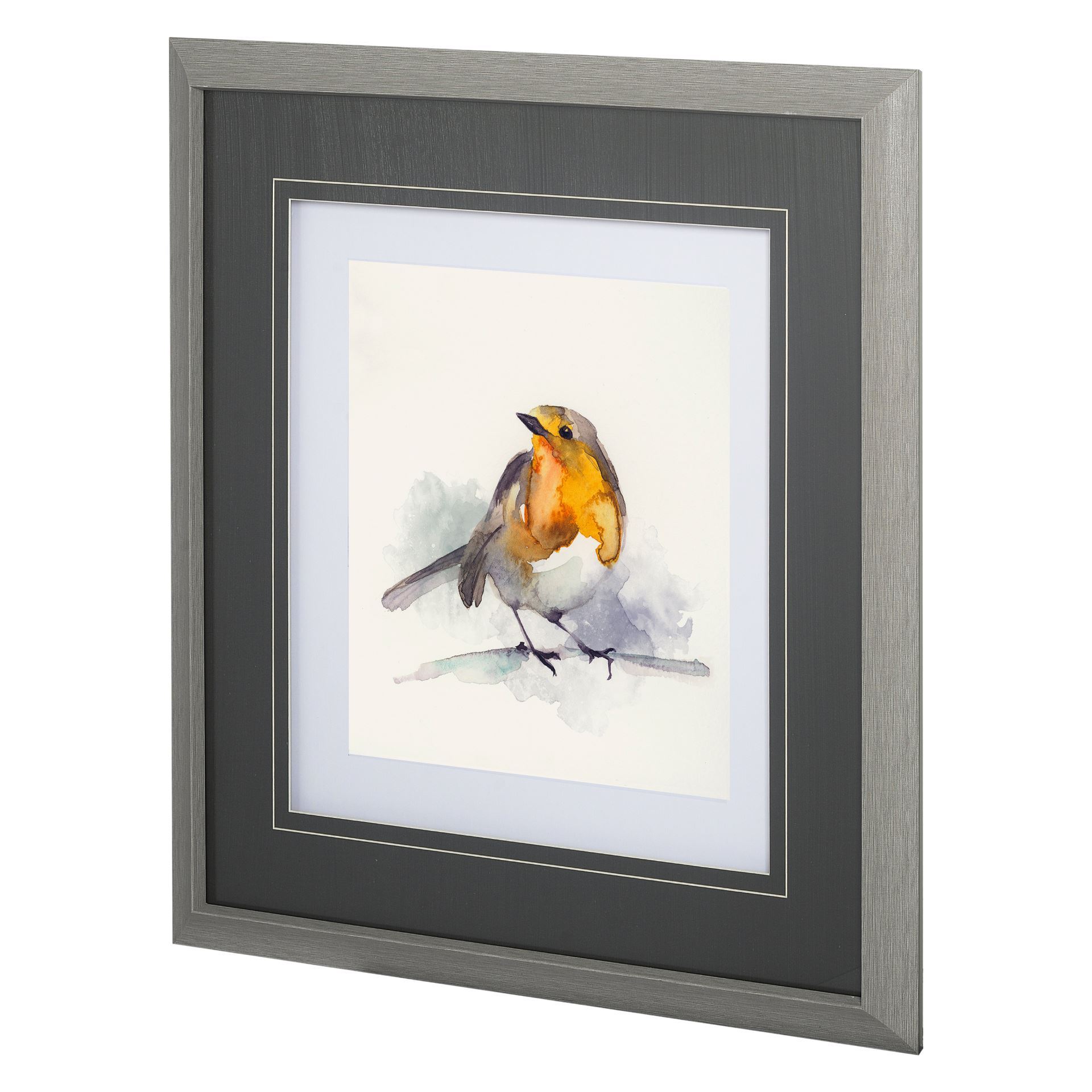 Robin II (33 x 31)