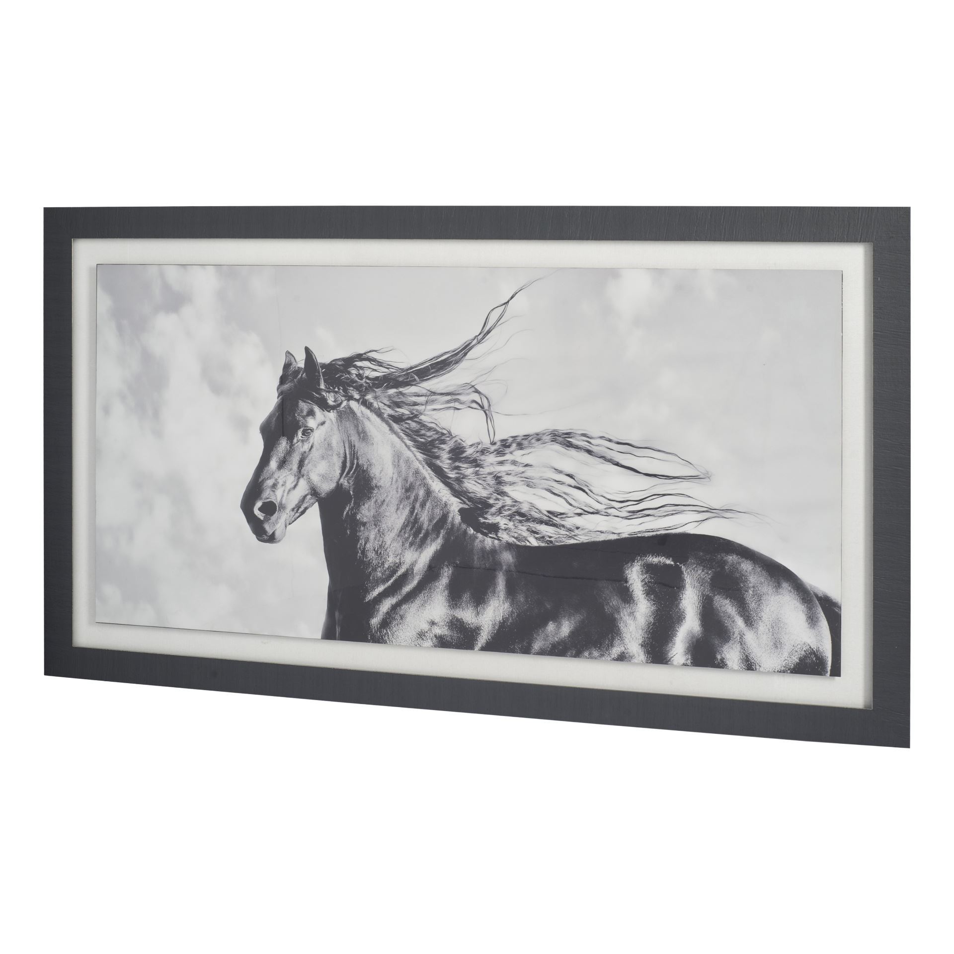 Custom Wind Blown Mane IV (MC) (74 x 42)