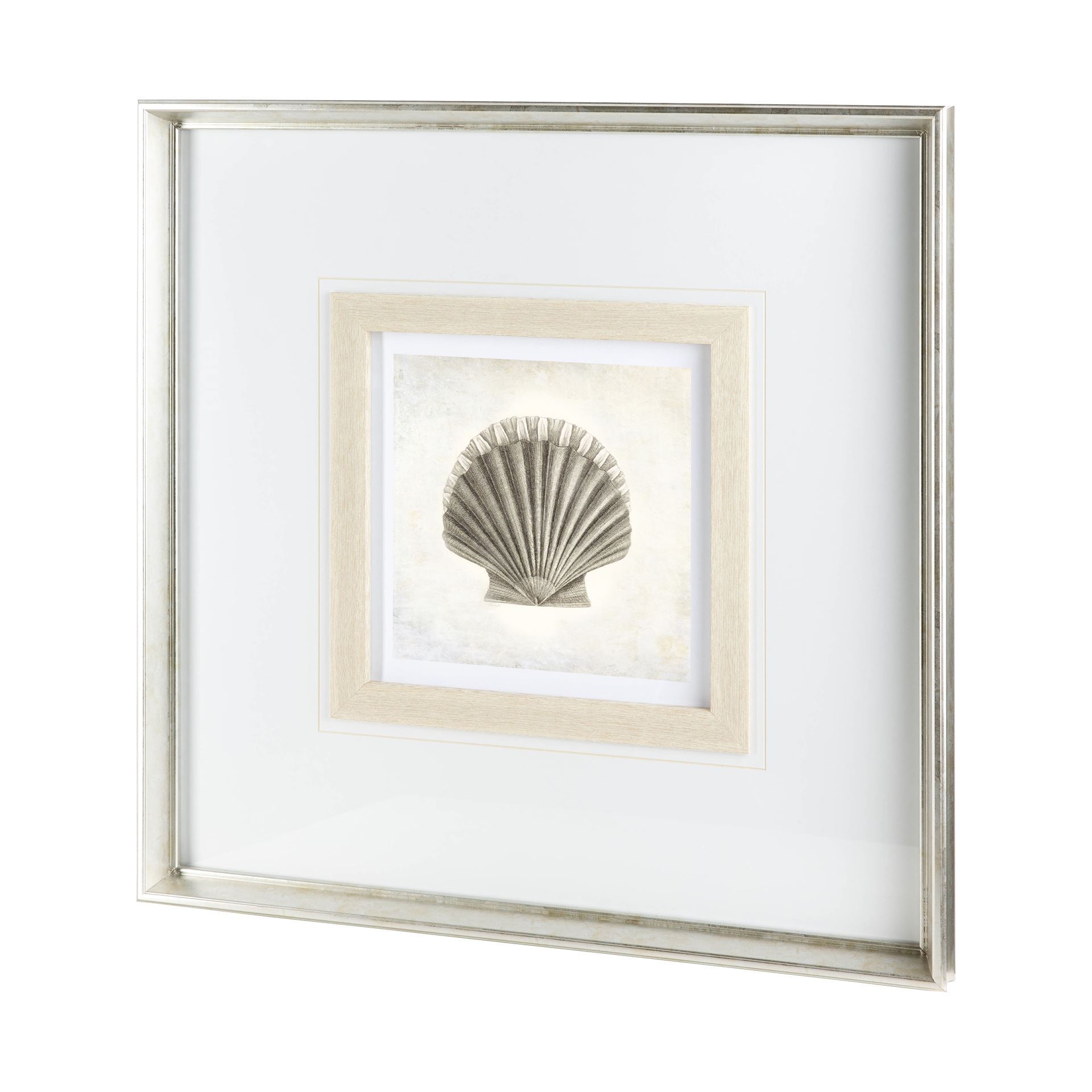 Vintage Scallop Shell (32 x 32)