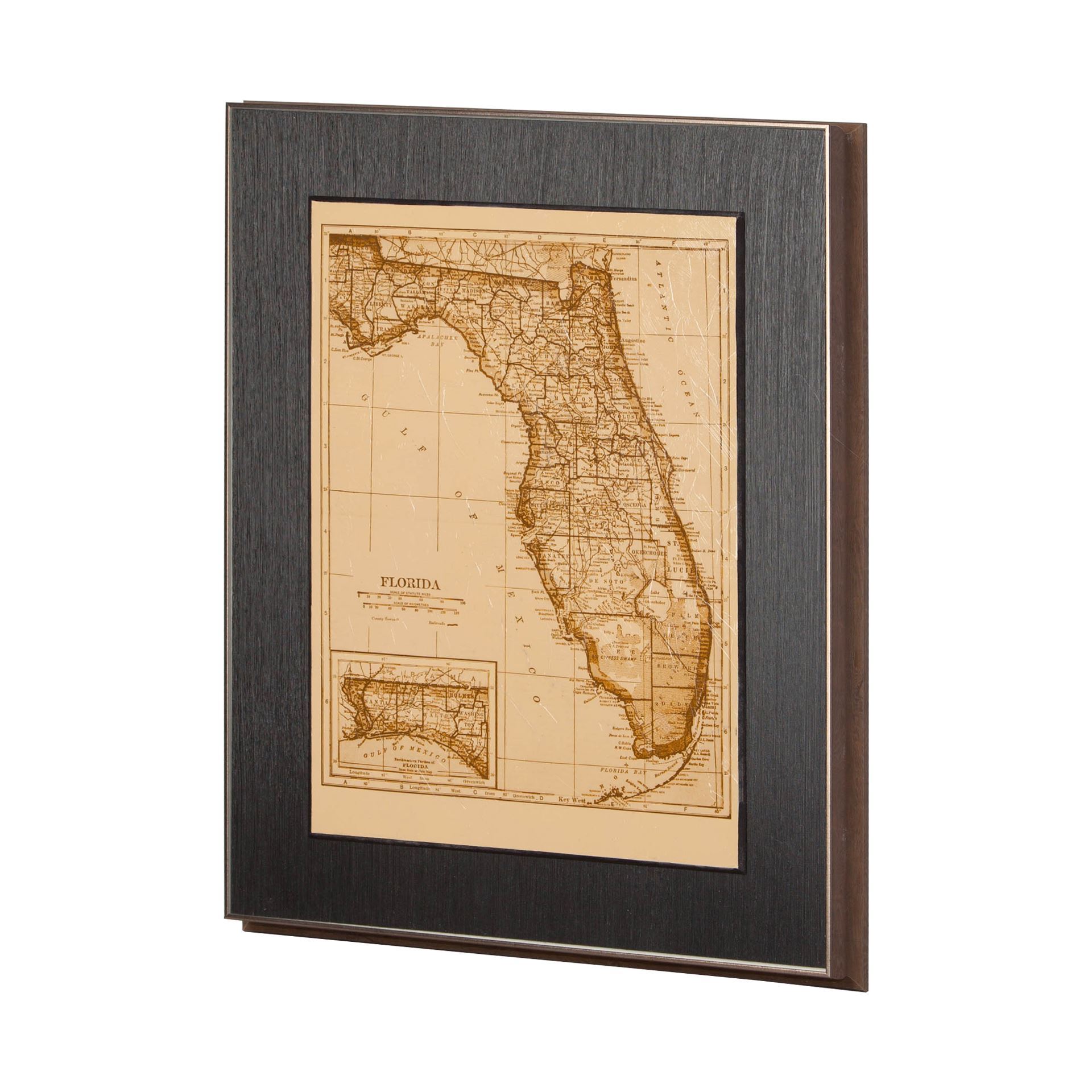 Vintage Florida Map (23 x 29)