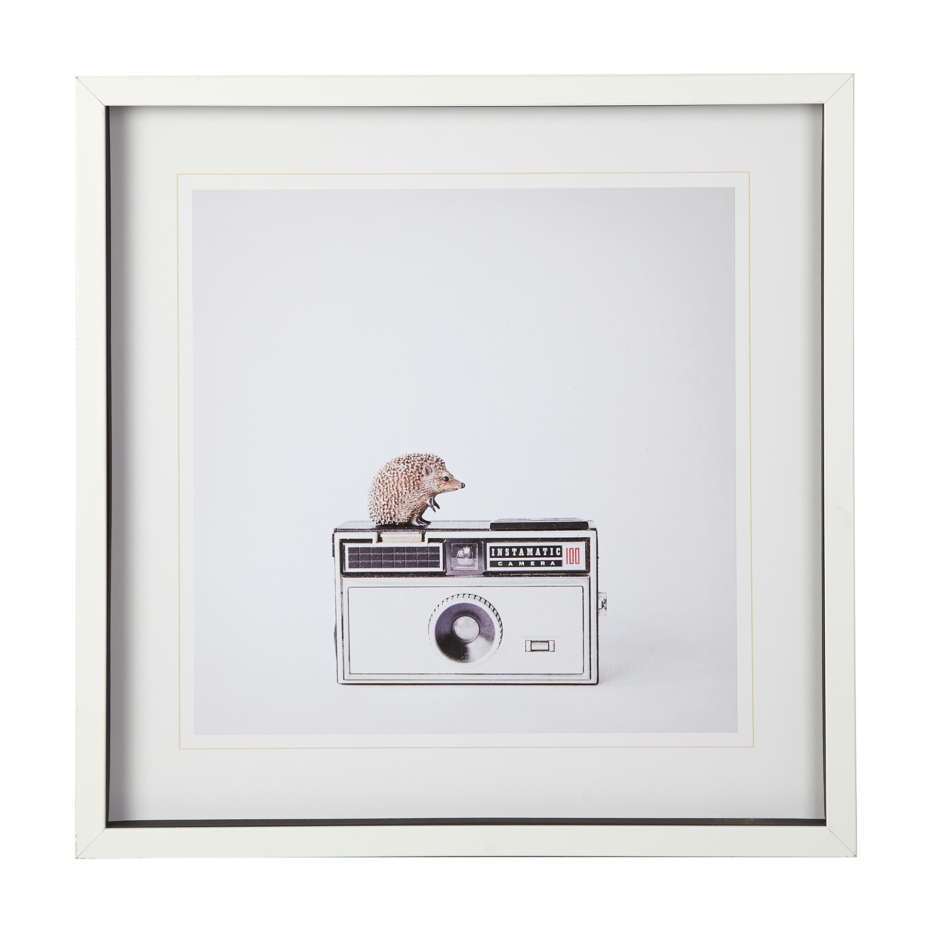 Hedgehog & Vintage Camera (25 x 25)